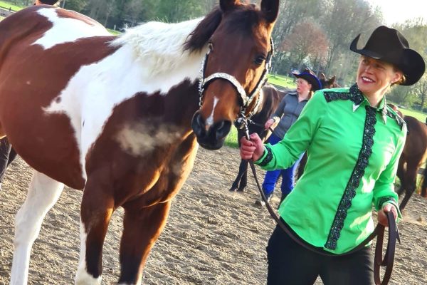 melanie-kolkhorst-startseite-themenschwerpunkte-angst-vor-pferden